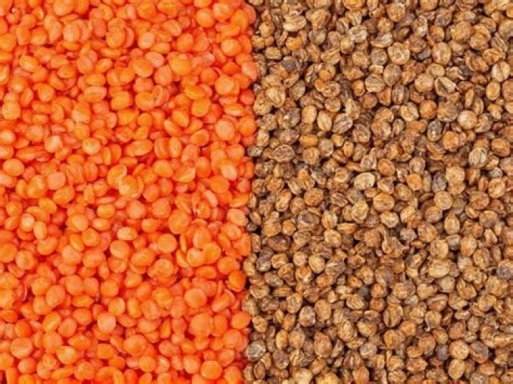 Are red lentils bad for diabetics