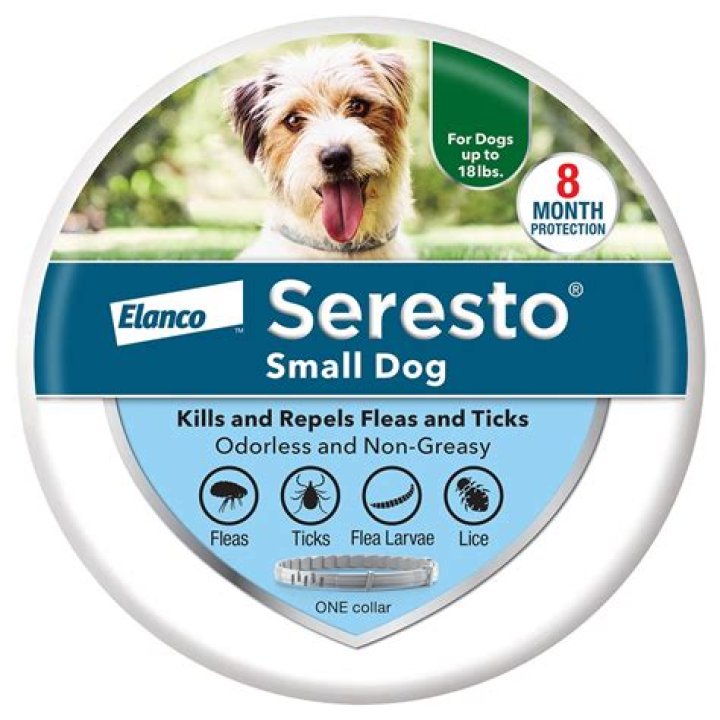 Can you take Seresto off at night