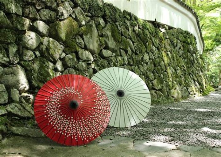 Can you use a parasol in the rain