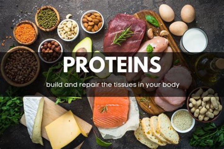 Do we need more protein as we age