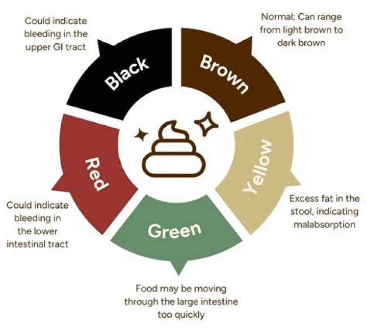 Does barium sulfate make you poop