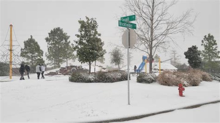 Does Galveston Texas get snow