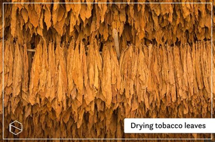 Does tobacco have to be fermented
