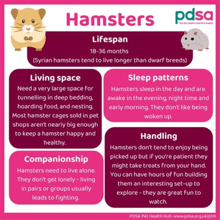 How do hamsters typically die
