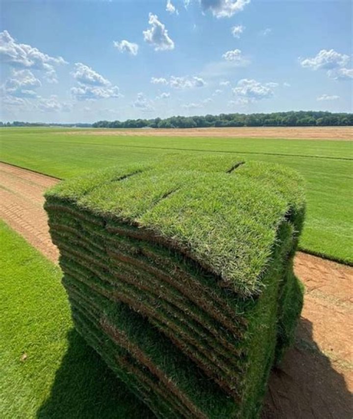 How much grass sod is on a pallet