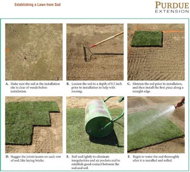 How much is a roll of Bermuda sod