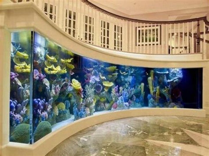Is Aquarium good inside the house