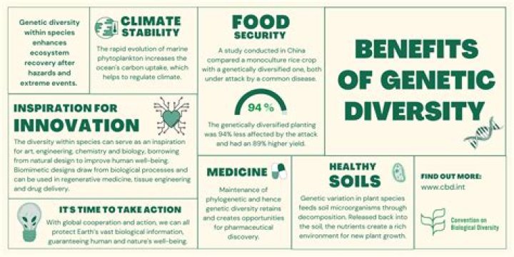 Is genetic diversity biodiversity