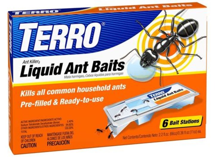 Is RAID good for killing ants