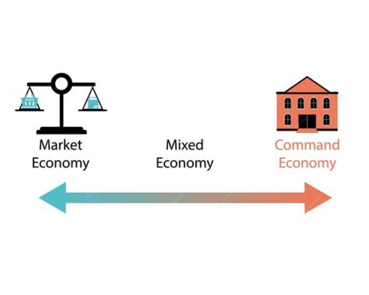 What are the 3 economic roles