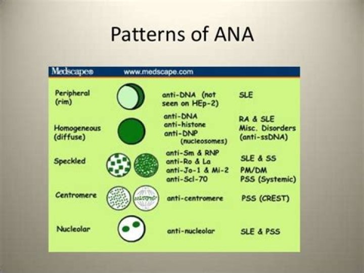 What causes nucleolar ANA pattern
