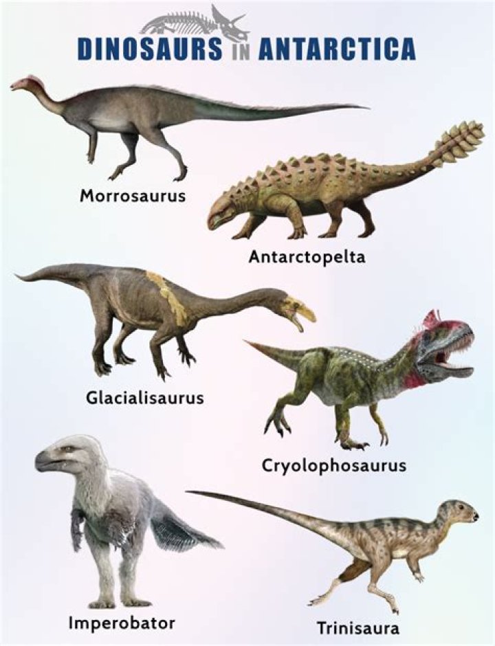 What dinosaurs were in Antarctica
