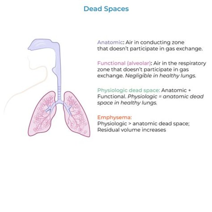 What does dead space mean in medical terms