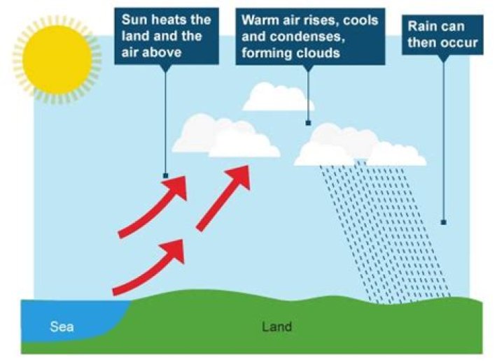 What does rain occur in the velds