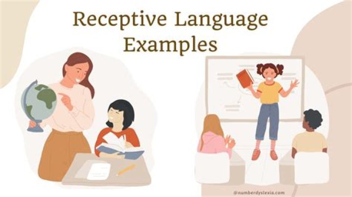 What does receptive language mean