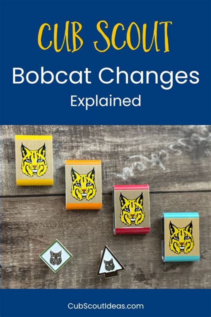 What is Bobcat rank in Cub Scouts
