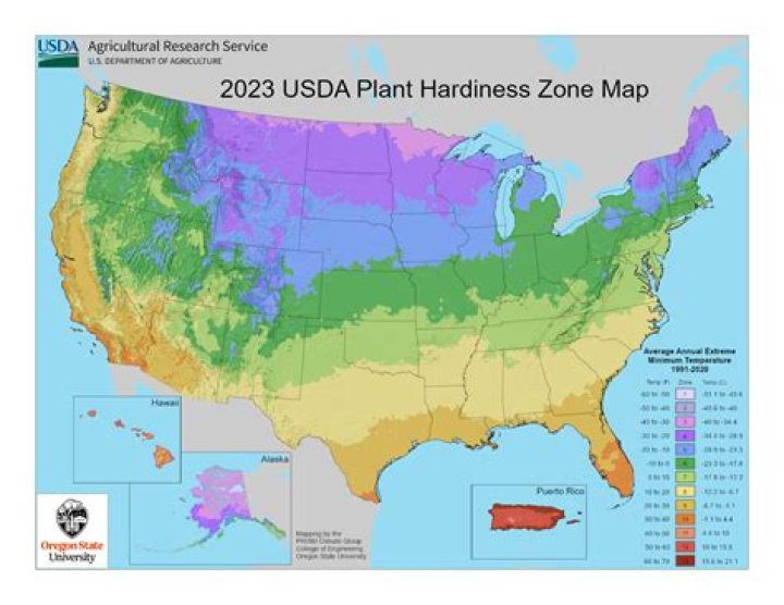 What is cold hardiness for plants