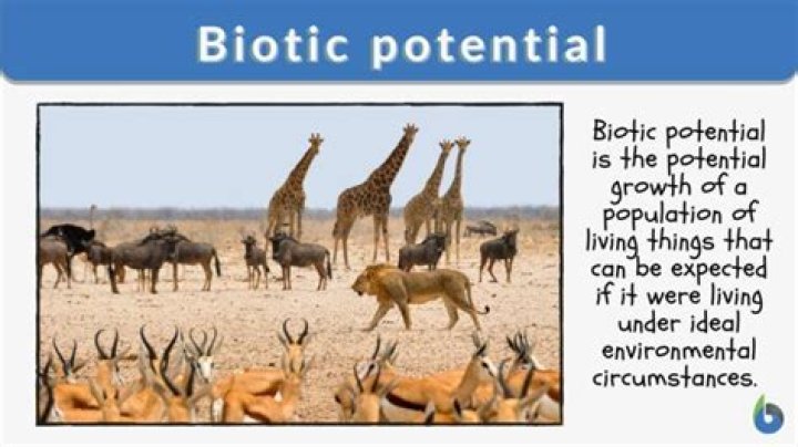 What is meant by biotic potential
