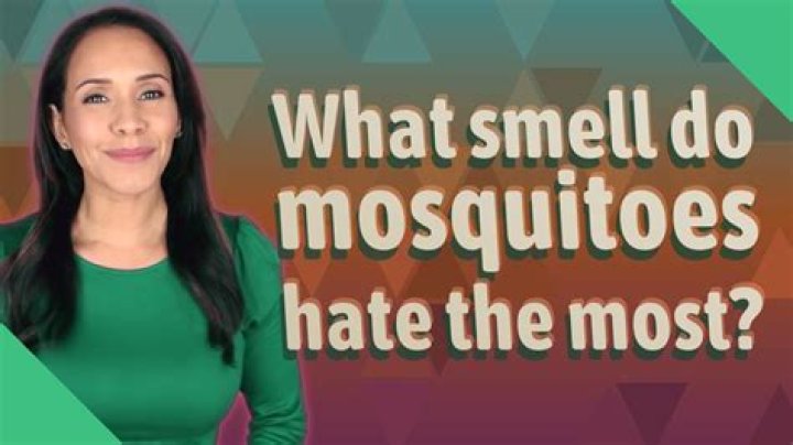 What smell do mosquitoes hate