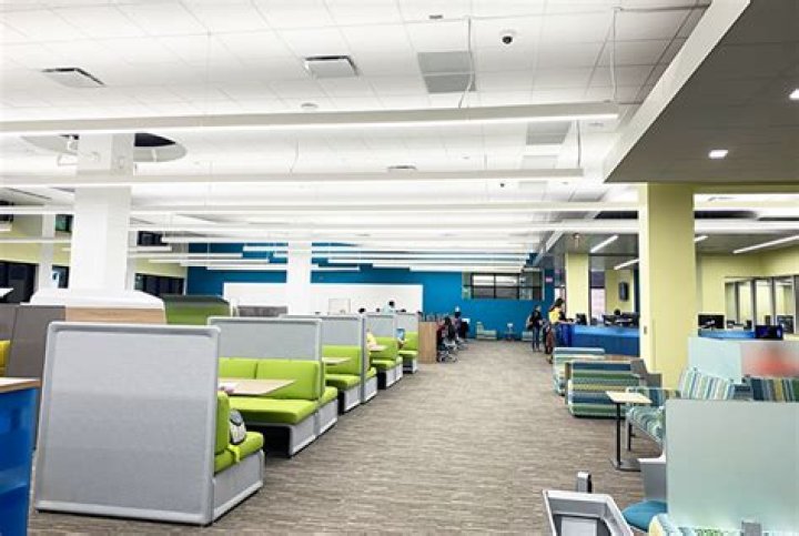 What type of college is Lone Star