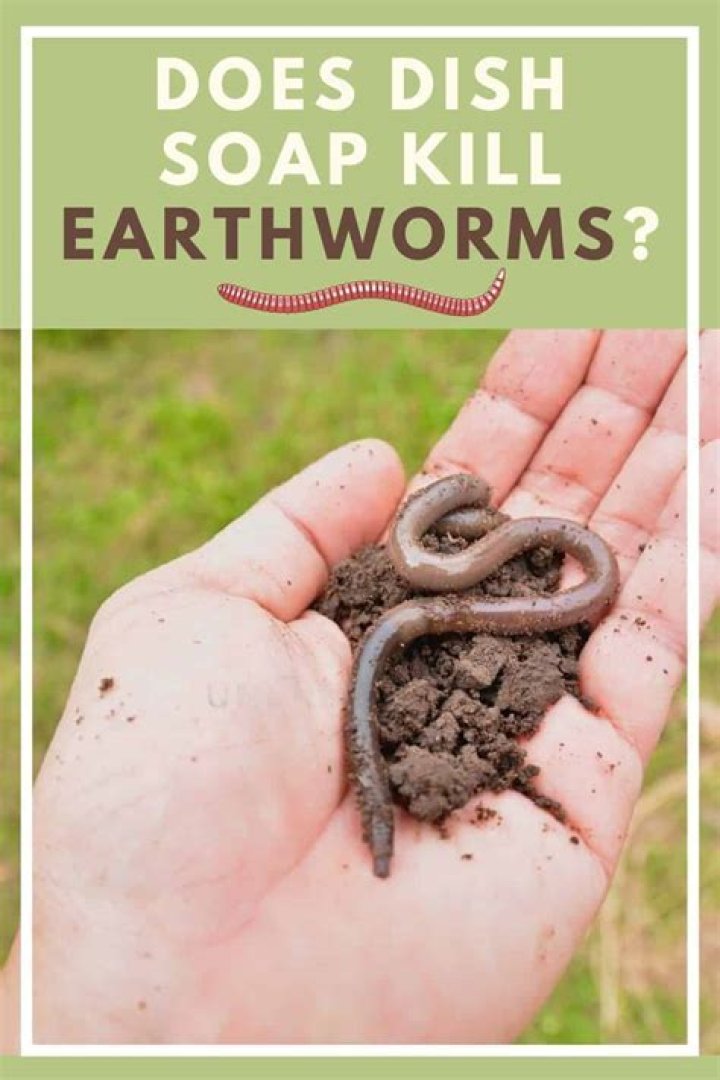 What usually kills earthworms
