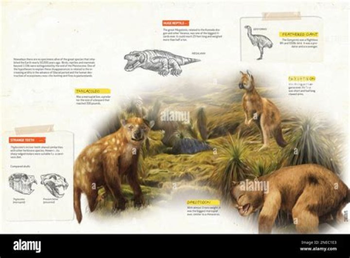 When did Pleistocene megafauna go extinct
