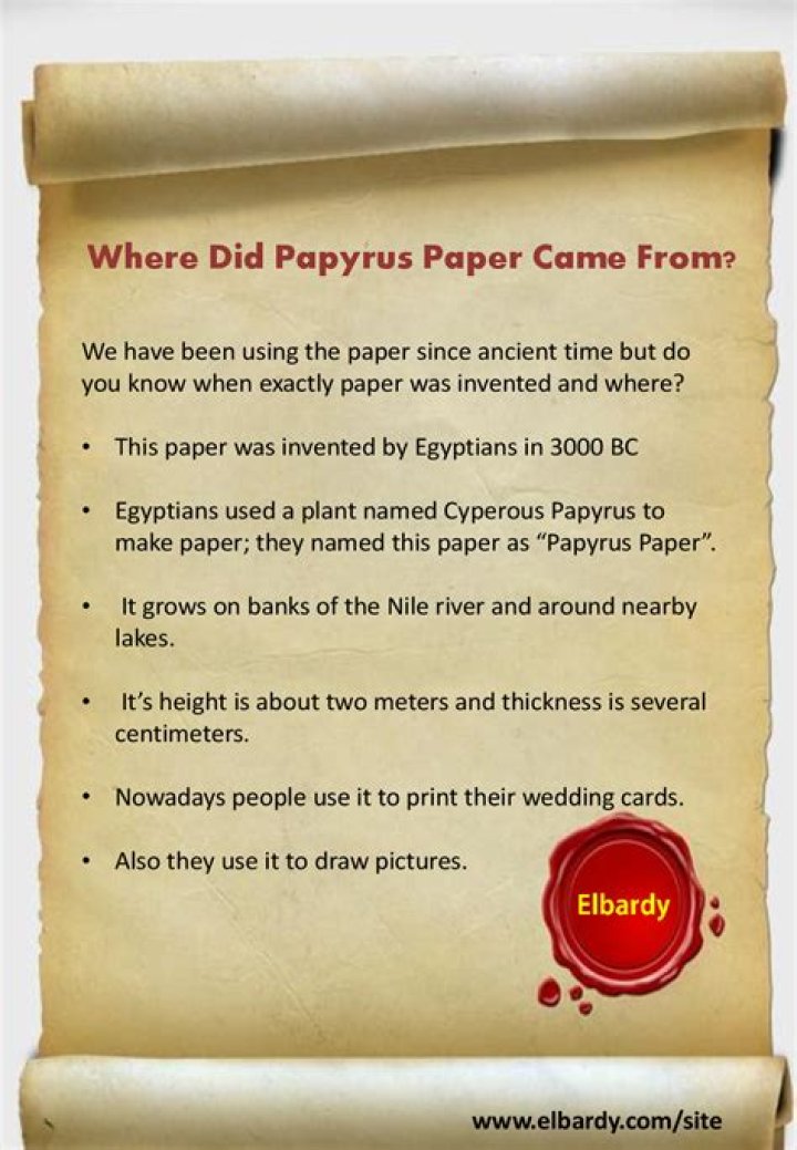 Where did papyrus paper come from