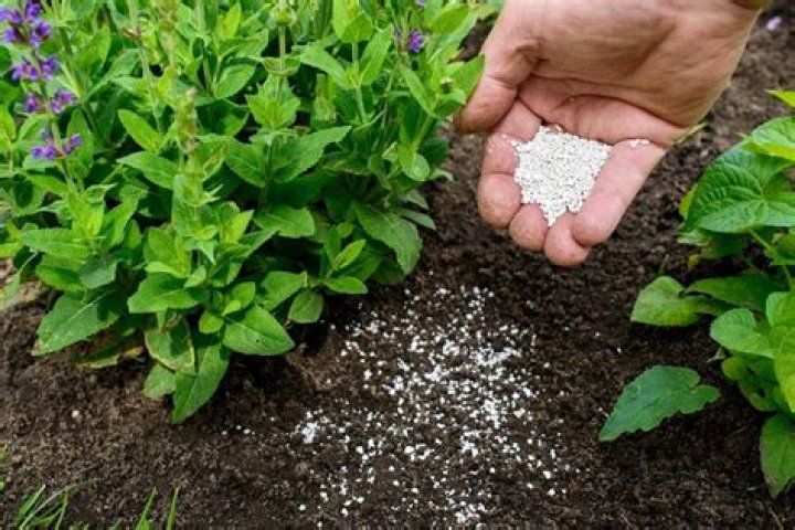 Where should you store fertilizer