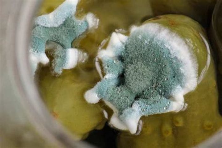 Why do my pickles look cloudy